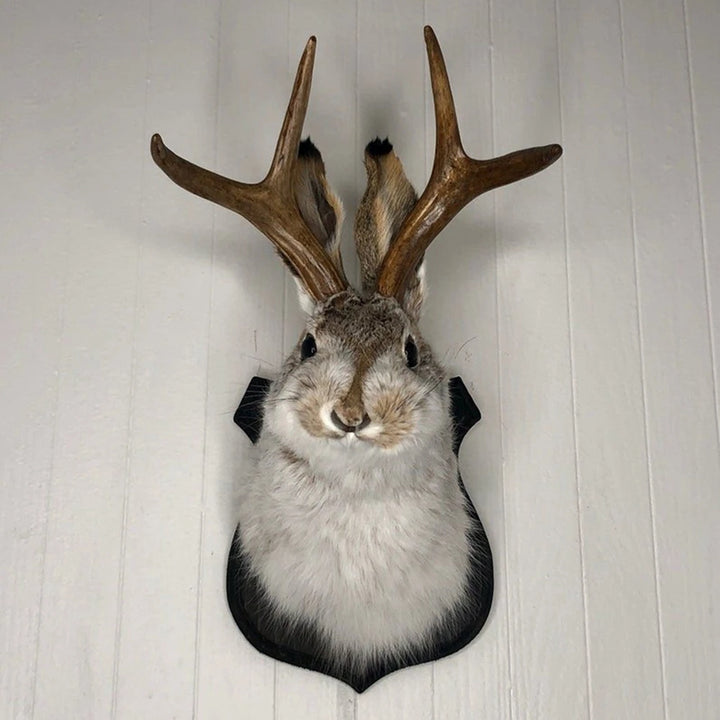 Rabbit Taxidermy Ornaments